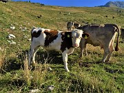 Cima Foppazzi (2097 m) e Cima Grem (2049 m) da Alpe Arera -22ag22- FOTOGALLERY